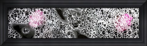 Framed Bubbles and pink flower petals Print