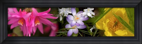 Framed Flowers in pastel colors Print
