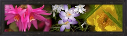 Framed Flowers in pastel colors Print