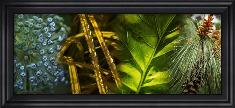 Framed Leaves with rain drops Print