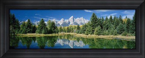 Framed Reflection of trees in water with mountains, Schwabachers Landing, Grand Teton, Grand Teton National Park, Wyoming, USA Print