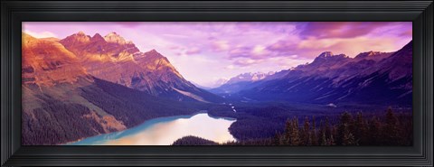 Framed Peyto Lake, Alberta, Canada Print