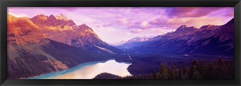 Framed Peyto Lake, Alberta, Canada Print