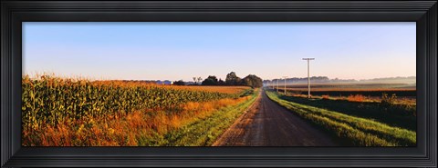 Framed Road Along Rural Cornfield, Illinois, USA Print