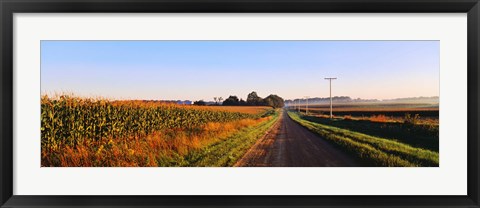 Framed Road Along Rural Cornfield, Illinois, USA Print