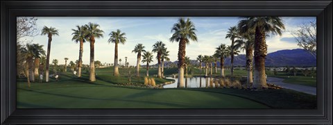 Framed Palm trees in a golf course, Desert Springs Golf Course, Palm Springs, Riverside County, California, USA Print