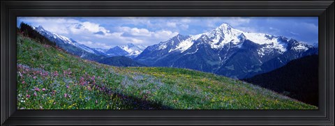 Framed Wildflowers Along Mountainside, Zillertaler, Austria Print