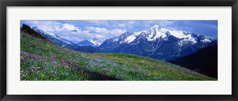 Framed Wildflowers Along Mountainside, Zillertaler, Austria Print