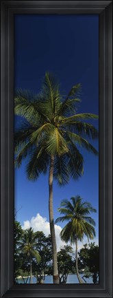 Framed USA, US Virgin Islands, Saint Thomas Print