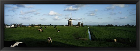 Framed Windmills, Netherlands Print