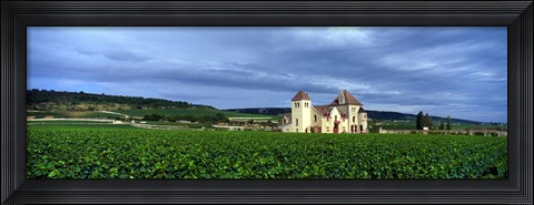 Framed Grand Cru Vineyard, Burgundy, France Print