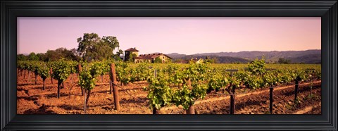 Framed Sattui Winery, Napa Valley, California, USA Print