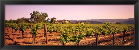 Framed Sattui Winery, Napa Valley, California, USA Print