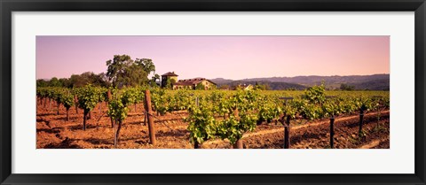 Framed Sattui Winery, Napa Valley, California, USA Print