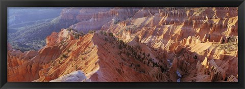 Framed Amphitheater, Cedar Breaks National Monument, Utah, USA Print