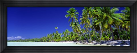 Framed Beach With Palm Trees, Bora Bora, Tahiti Print