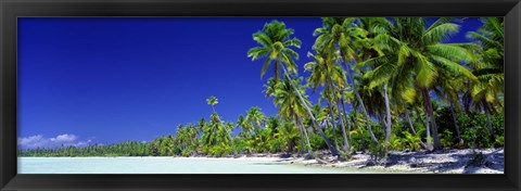Framed Beach With Palm Trees, Bora Bora, Tahiti Print
