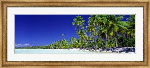 Framed Beach With Palm Trees, Bora Bora, Tahiti Print