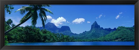 Framed Lush Foliage And Rock Formations, Moorea Island, Tahiti Print