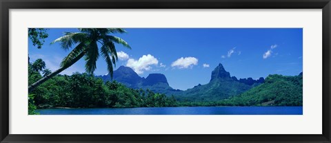 Framed Lush Foliage And Rock Formations, Moorea Island, Tahiti Print