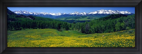 Framed San Miguel Mountains In Spring, Colorado, USA Print