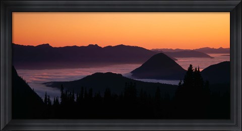 Framed Mount Rainier National Park, Washington Print