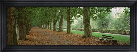 Framed City Park w/ bench in autumn Tubingen Germany Print