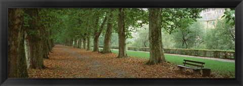 Framed City Park w/ bench in autumn Tubingen Germany Print