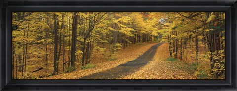 Framed Autumn Road, Emery Park, New York State, USA Print