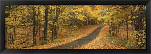 Framed Autumn Road, Emery Park, New York State, USA Print