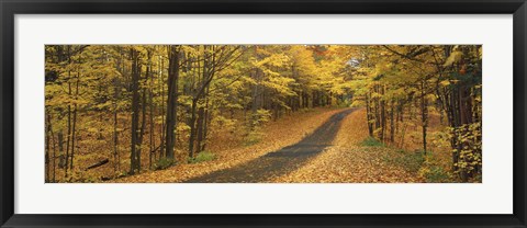 Framed Autumn Road, Emery Park, New York State, USA Print