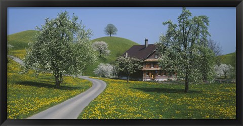 Framed road through Zug, Switzerland Print