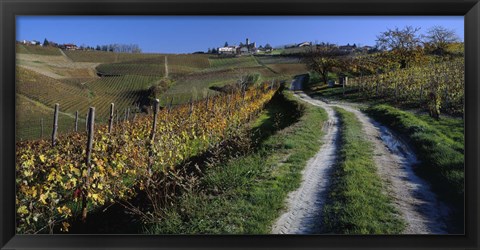 Framed Italy, Piemont, road Print