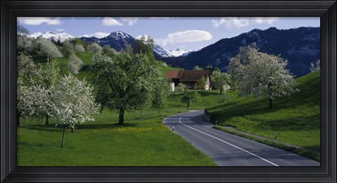 Framed Switzerland, Luzern, trees, road Print