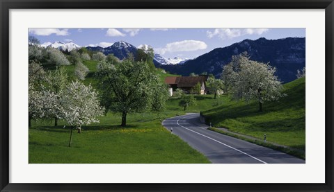 Framed Switzerland, Luzern, trees, road Print