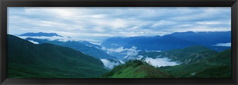 Framed China, Sichuan, Cloud Forest Print