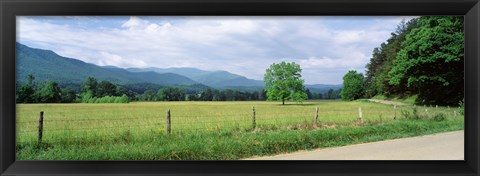 Framed Road Along A Grass Field, Cades Cove, Great Smoky Mountains National Park, Tennessee, USA Print