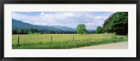 Framed Road Along A Grass Field, Cades Cove, Great Smoky Mountains National Park, Tennessee, USA Print