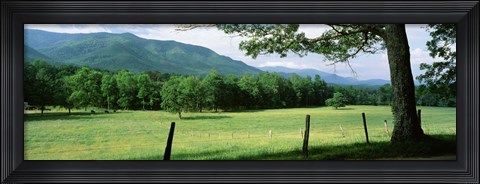 Framed Meadow Surrounded By Barbed Wire Fence, Cades Cove, Great Smoky Mountains National Park, Tennessee, USA Print