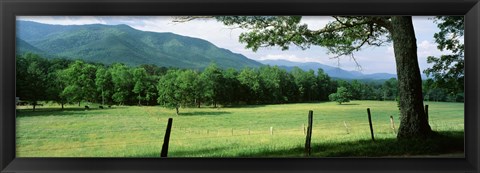 Framed Meadow Surrounded By Barbed Wire Fence, Cades Cove, Great Smoky Mountains National Park, Tennessee, USA Print