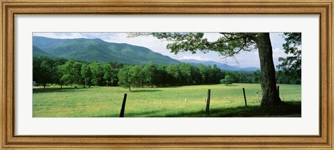 Framed Meadow Surrounded By Barbed Wire Fence, Cades Cove, Great Smoky Mountains National Park, Tennessee, USA Print
