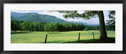 Framed Meadow Surrounded By Barbed Wire Fence, Cades Cove, Great Smoky Mountains National Park, Tennessee, USA Print