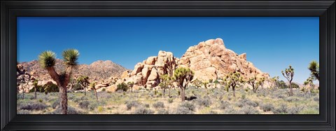 Framed Rock Formation In A Arid Landscape, Joshua Tree National Monument, California, USA Print