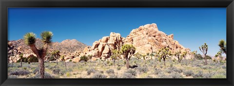 Framed Rock Formation In A Arid Landscape, Joshua Tree National Monument, California, USA Print