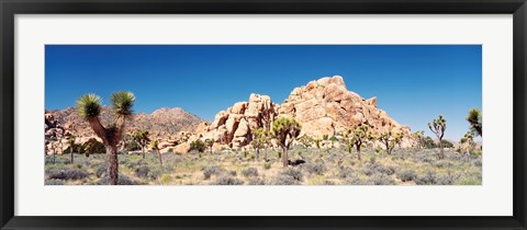 Framed Rock Formation In A Arid Landscape, Joshua Tree National Monument, California, USA Print