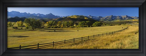 Framed Trees in a field, Colorado, USA Print