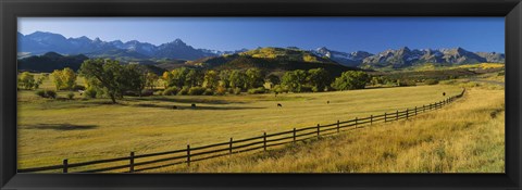 Framed Trees in a field, Colorado, USA Print