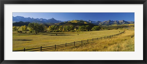 Framed Trees in a field, Colorado, USA Print