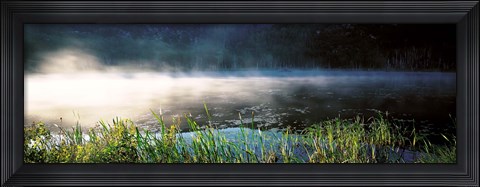 Framed Morning fog Acadia National Park ME USA Print