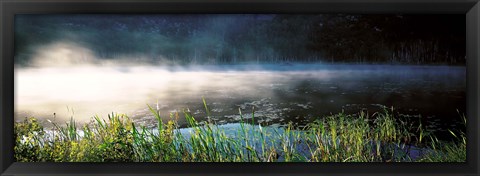 Framed Morning fog Acadia National Park ME USA Print